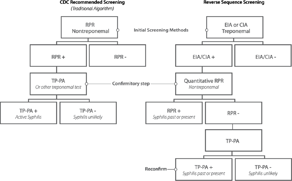 Evolution Graph 3