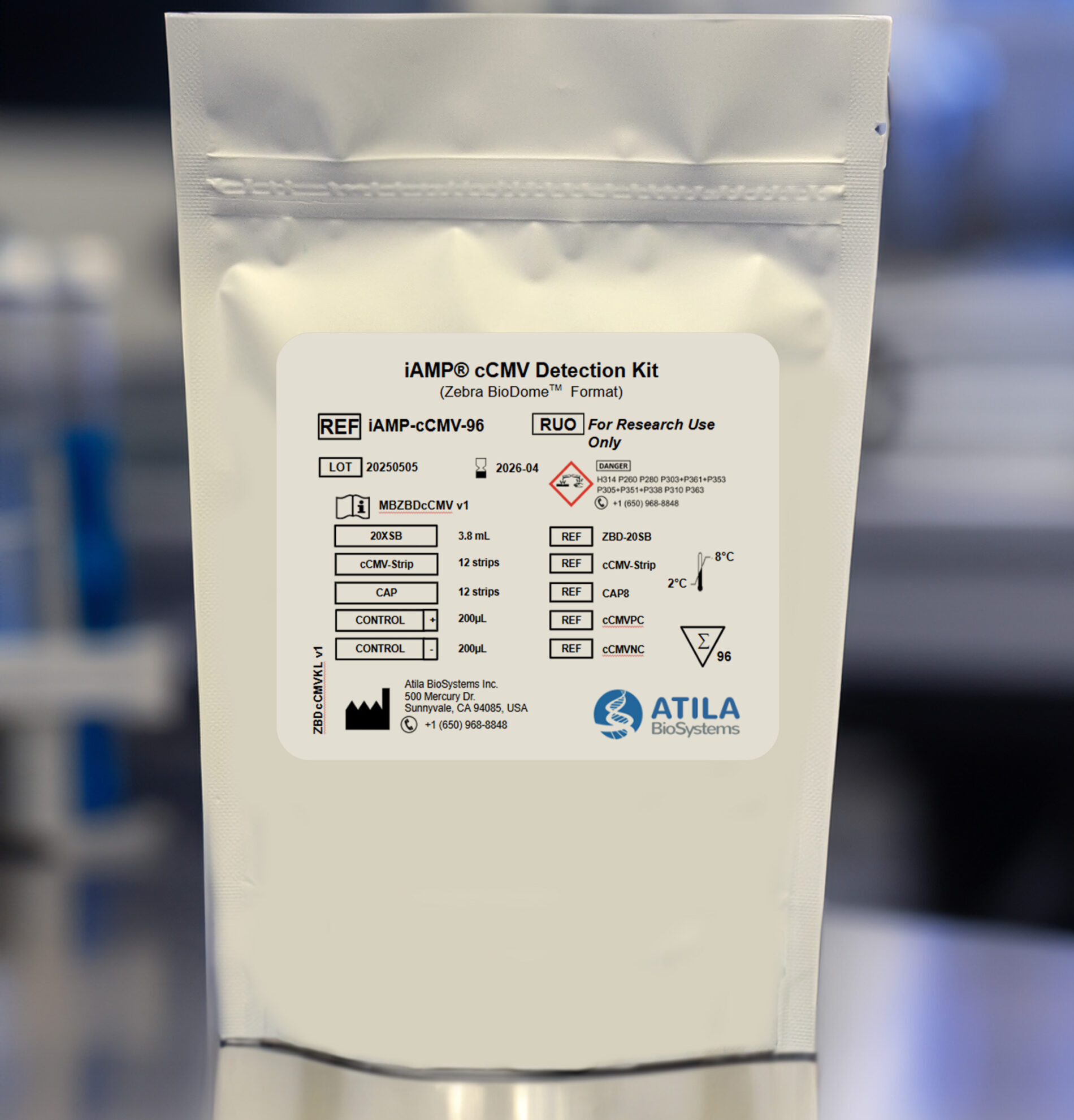 Ccmv Assay Copy Scaled E1754673426250